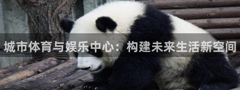 意昂体育4平台注册要钱吗：城市体育与娱乐中心：构建未