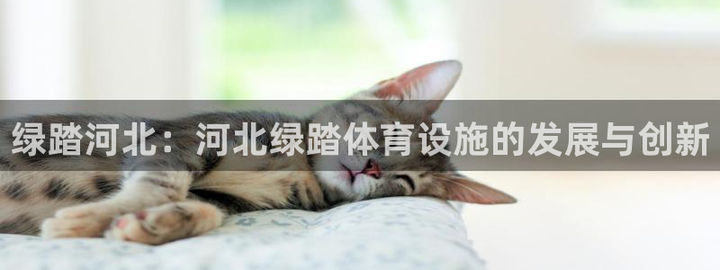 意昂体育4平台假的吗是真的吗吗：绿踏河北：河北绿踏体