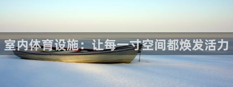 意昂体育4开户：室内体育设施：让每一寸空间都焕发活力